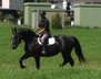 SW mare "Benjaminka"