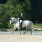 Eydis, the Welsh Pony with Heart, Style & a Big Personality 