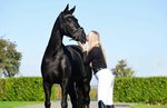 Upload/Images/080A60Cc.Jpg