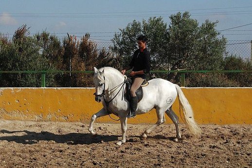 GANADOS CHANDO FARM