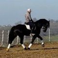 Upload/Images/0Bafe01F.Jpg