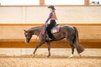 Ausnahme-Quarter-Horse Stute mit Top-Abstammung und Turniererfolg
