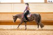 Ausnahme-Quarter-Horse Stute mit Top-Abstammung und Turniererfolg