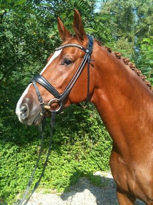Wilano