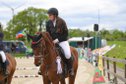 Show jumper Manchester van t Paradijs/Waitaki