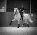  PRE Grand Prix & para Olympic TOKYO 2020