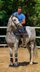 BEAUTIFUL PRE STALLION