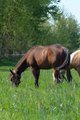 Upload/Images/1F5E3Bb6.Jpg