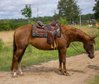 Ganz liebe Gunner/Jokers Enterprise Tochter