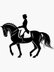 TOP GP HORSE / TOP OFFER !