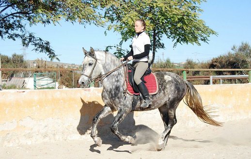 GANADOS CHANDO FARM