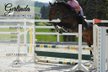 Fantastic all-rounder / teaching horse Gymnasticsplaced WITH VIDE