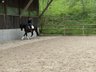 Bildschöne Tänzerin mit erstklassiger Abstammung