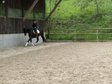 Bildschöne Tänzerin mit erstklassiger Abstammung