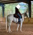 TJ Twisten Sassy - Quarter Horse Jungstute , cremello, angeritten