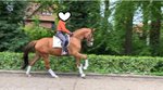 Upload/Images/2Ff321Fd.Jpg
