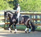 Upload/Images/30426Ba4.Jpg
