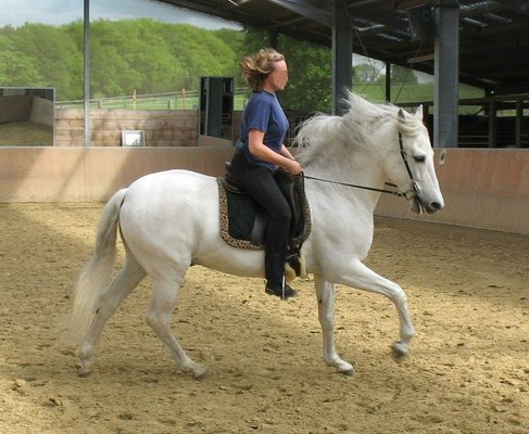 The Gallop