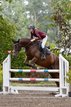 Arabella 6yo mare for sale