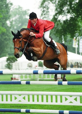 Horse Breed Zangersheide