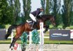  exclusive jumper / equitation horse