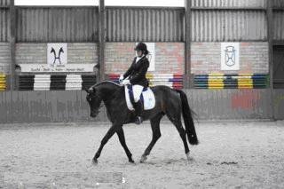 Tournament 2010
