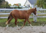 Upload/Images/521D2A6E.Jpg
