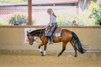 Junge talentierte Quarter Horse Stute mit Top-Reining-Abstammung