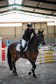 Talented 6-year-old gelding with the best attitude