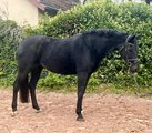 Upload/Images/5Badfbe4.Jpg