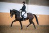 Experienced dressage mare with the very best pedigree
