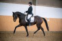 Experienced dressage mare with the very best pedigree