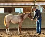 Upload/Images/6383Ba08.Jpg