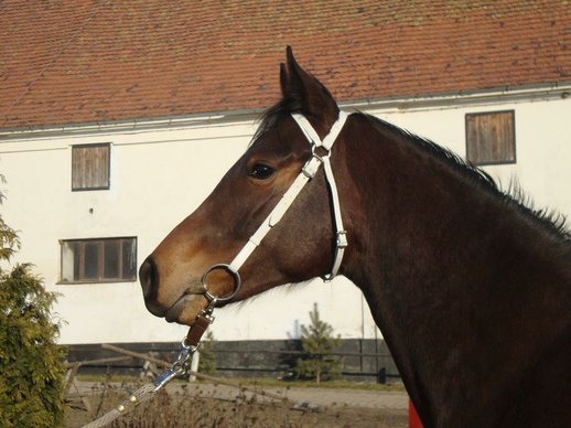 March 2011