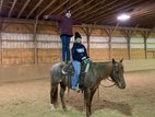 Beautiful Red Roan Mare for Trail Riding