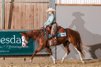 Talentierte Quarter Horse Stute mit erstklassiger Reining-Abstamm
