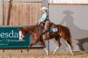 Talentierte Quarter Horse Stute mit erstklassiger Reining-Abstamm