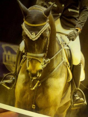 jumping horse