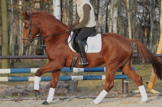 Florin December 2012