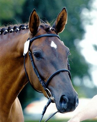 Fantastic girl v. Fidermark