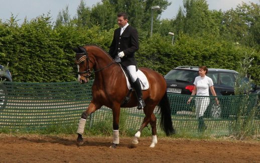 Cassis Royal