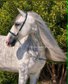 FARYTALE HORSE / SPANISH HORSE