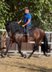 Handsome Barock PRE