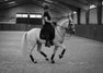  TOP Lusitano School-Master 1,62 m 