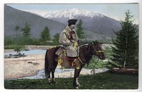 Altai Horse