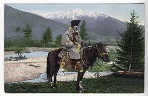 Pferderasse Altai