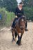 All-terrain Tinker mare, 13 years old 
