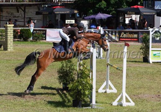 Turnier 2009