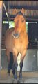 Upload/Images/86730233.Jpg