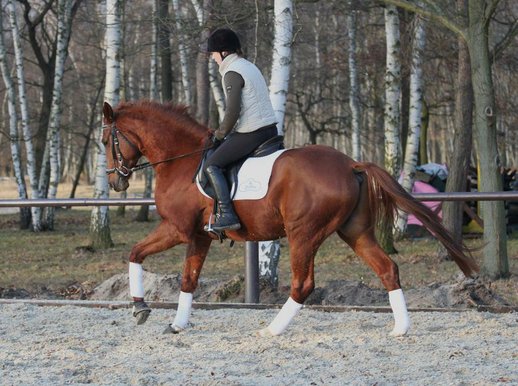 Florin December 2012